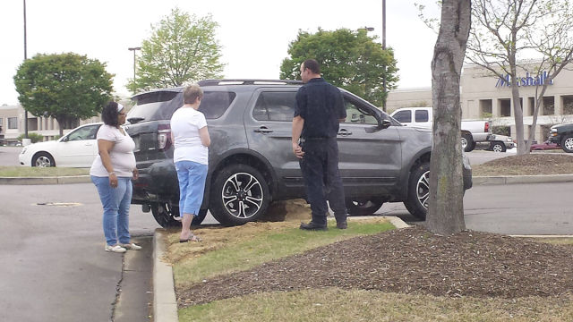 morning picdump 53 pics 15.html - 53 HD Photos | Premium Gallery 2015