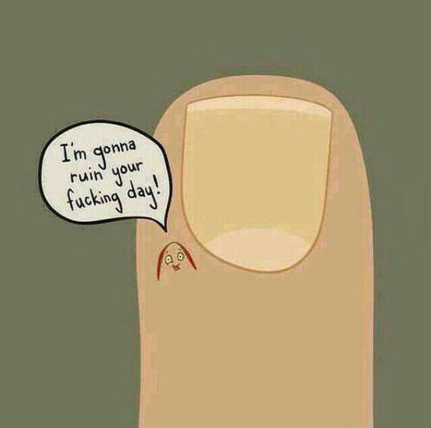 page,4,top 450 funny pics of the year 2015.html - 1 HD Photos | Premium Gallery 2015