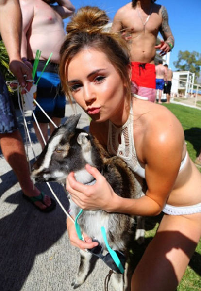 The Goat That Every Man Wants to Be