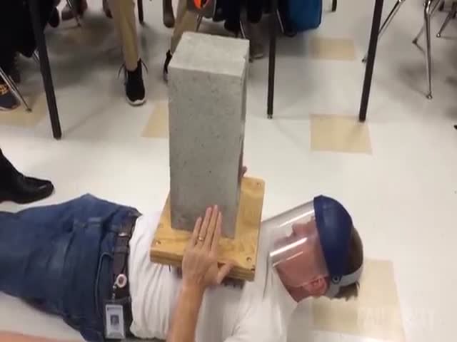 page,23,top 500 videos of the year 2015.html - 1 HD Video | Premium Gallery 2015