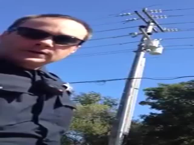 page,31,top 500 videos of the year 2015.html - 1 HD Video | Premium Gallery 2015