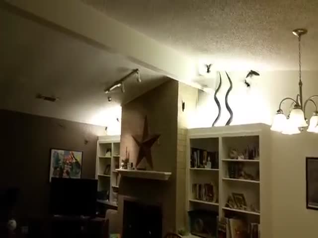 page,27,top 500 videos of the year 2015.html - 1 HD Video | Premium Gallery 2015