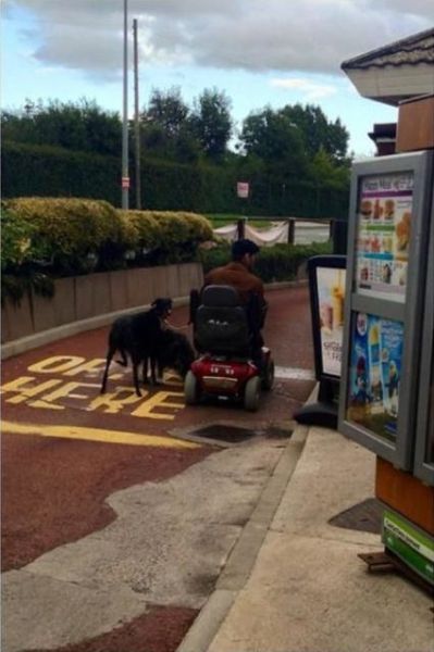 daily picdump 95 pics 40.html - 95 HD Photos | Premium Gallery 2015