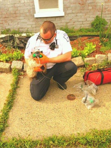 daily picdump 95 pics 40.html - 95 HD Photos | Premium Gallery 2015