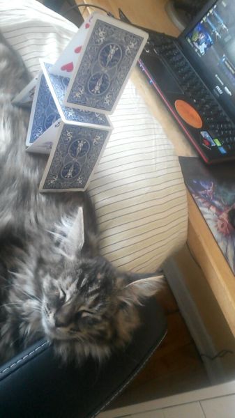 daily picdump 95 pics 40.html - 95 HD Photos | Premium Gallery 2015