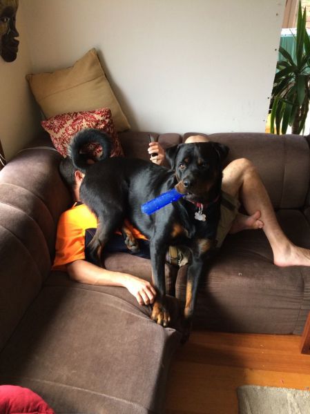 daily picdump 95 pics 40.html - 95 HD Photos | Premium Gallery 2015