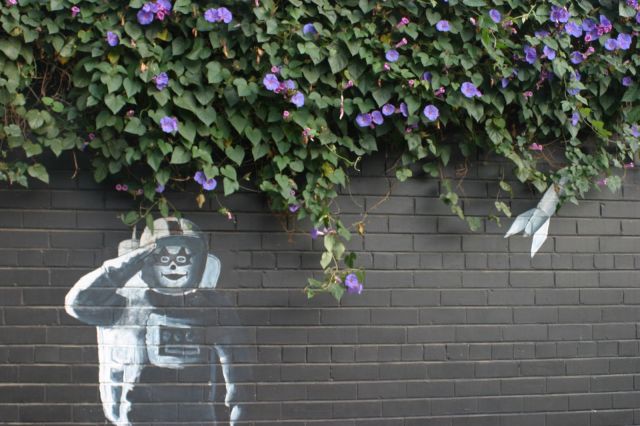 daily picdump 95 pics 40.html - 95 HD Photos | Premium Gallery 2015