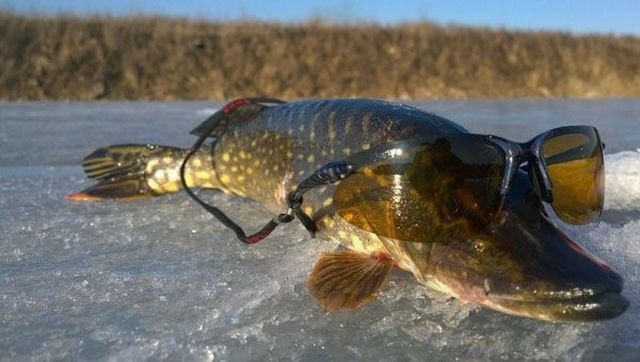 daily picdump 95 pics 40.html - 95 HD Photos | Premium Gallery 2015