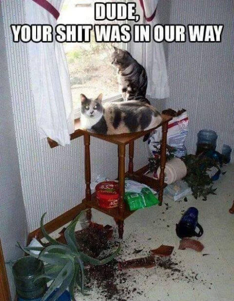 page,17,top 450 funny pics of the year 2015.html - 1 HD Photos | Premium Gallery 2015