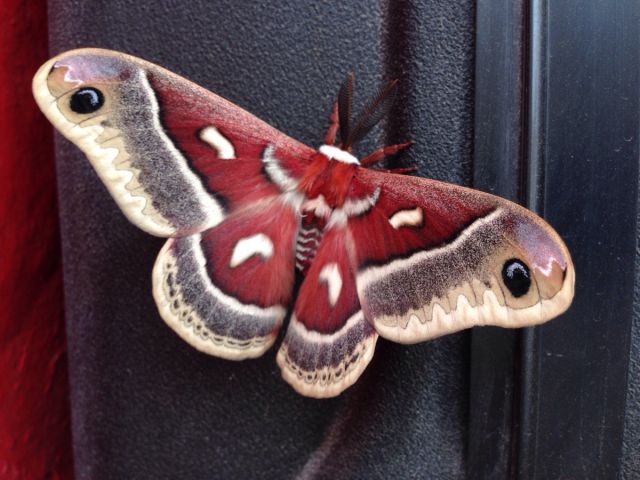 morning picdump 52 pics 5.html - 52 HD Photos | Premium Gallery 2015