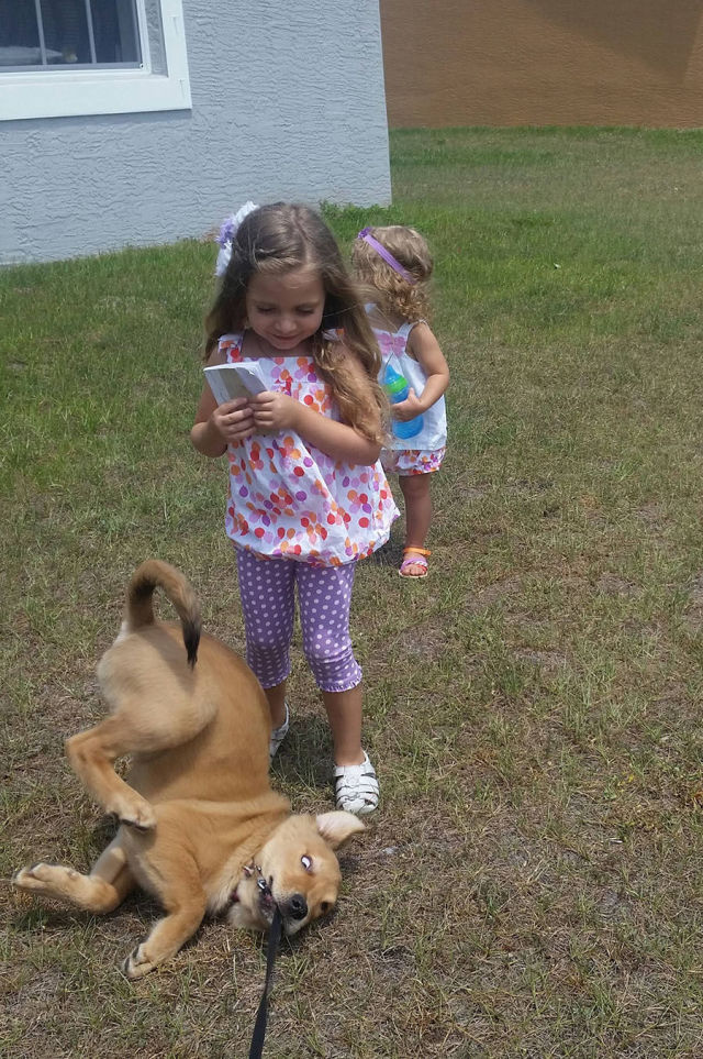 morning picdump 52 pics 5.html - 52 HD Photos | Premium Gallery 2015