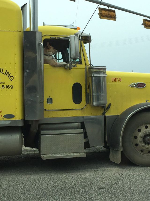 morning picdump 52 pics 5.html - 52 HD Photos | Premium Gallery 2015