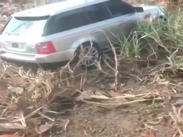 page,26,top 500 videos of the year 2015.html - 1 HD Video | Premium Gallery 2015