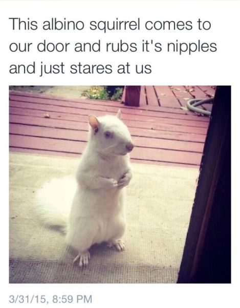 page,19,top 1500 daily pics of the year 2015.html - 1 HD Photos | Premium Gallery 2015