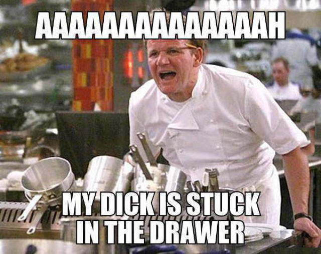 page,17,top 450 funny pics of the year 2015.html - 1 HD Photos | Premium Gallery 2015