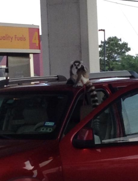 morning picdump 53 pics 15.html - 53 HD Photos | Premium Gallery 2015