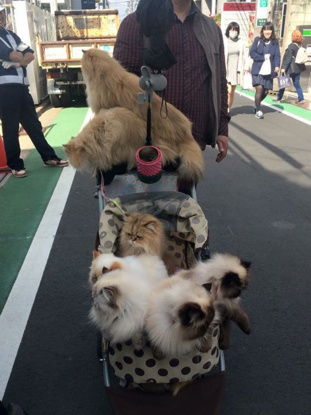 morning picdump 53 pics 15.html - 53 HD Photos | Premium Gallery 2015