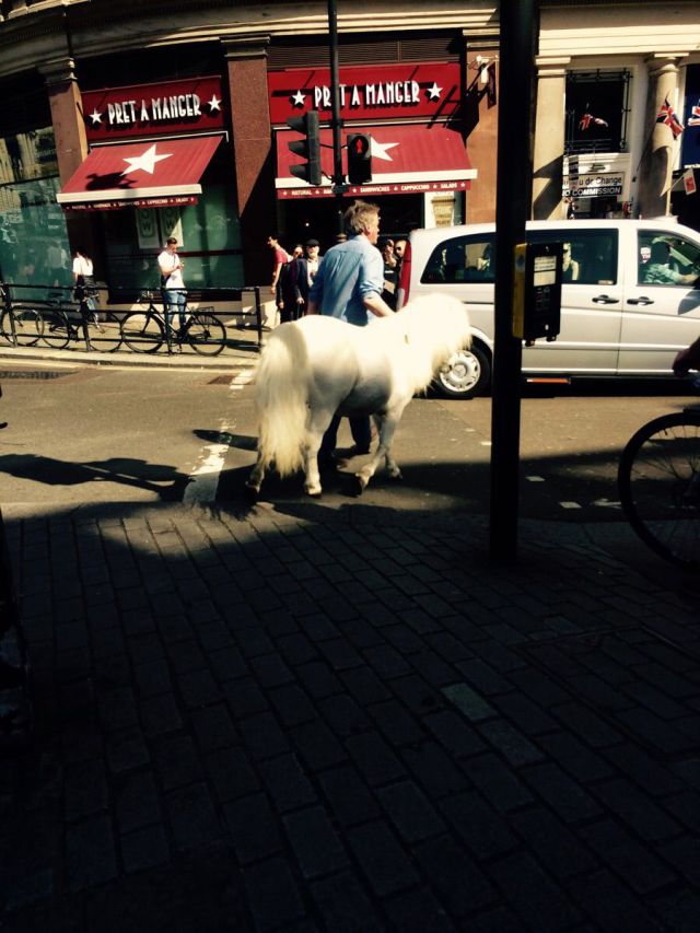 morning picdump 53 pics 15.html - 53 HD Photos | Premium Gallery 2015