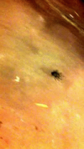 Pictures That Will Haunt Your Dreams Tonight