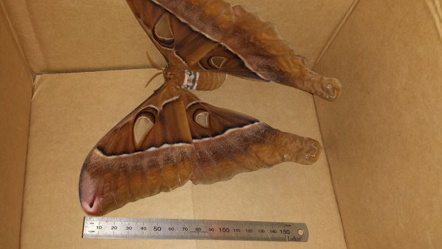 morning picdump 51 pics 5.html - 51 HD Photos | Premium Gallery 2015