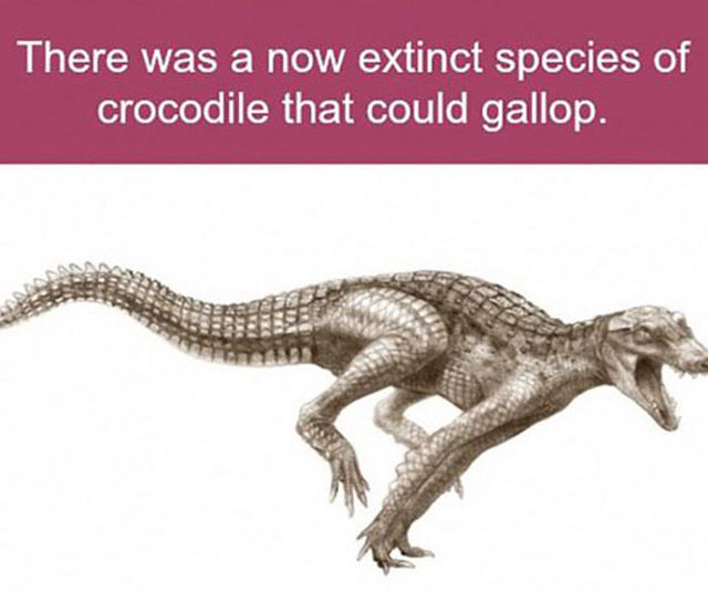 Pictures That Will Haunt Your Dreams Tonight