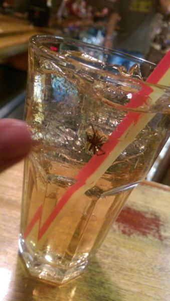 Pictures That Will Haunt Your Dreams Tonight