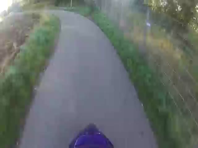 page,25,top 500 videos of the year 2015.html - 1 HD Video | Premium Gallery 2015