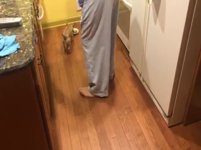 page,30,top 500 videos of the year 2015.html - 1 HD Video | Premium Gallery 2015