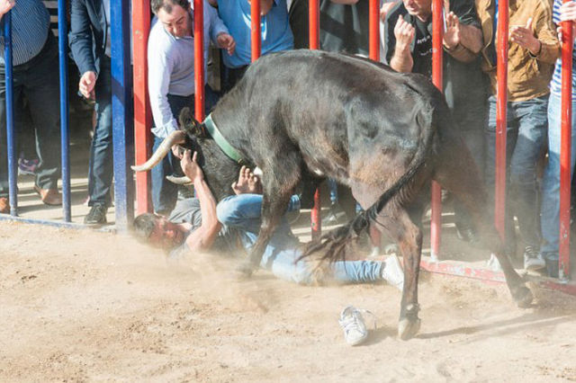 Guy Gets Stabbed in the Butt by an Angry Bull