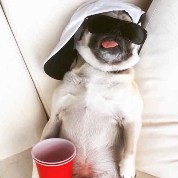 morning picdump 55 pics 5.html - 55 HD Photos | Premium Gallery 2015