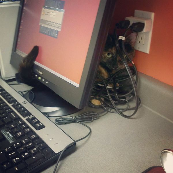 morning picdump 55 pics 5.html - 55 HD Photos | Premium Gallery 2015