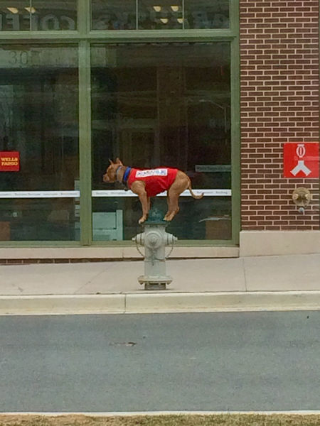 morning picdump 53 pics 15.html - 53 HD Photos | Premium Gallery 2015