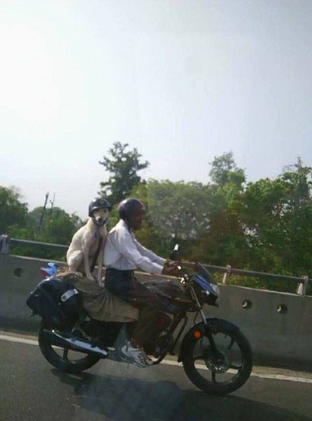 morning picdump 53 pics 15.html - 53 HD Photos | Premium Gallery 2015