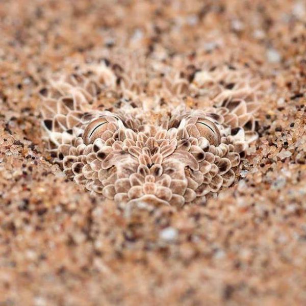 daily picdump 92 pics 18.html - 92 HD Photos | Premium Gallery 2015