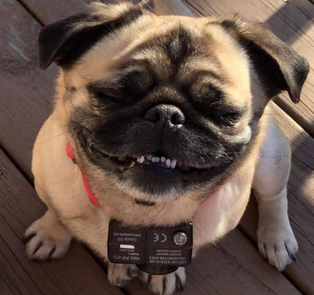 daily picdump 92 pics 18.html - 92 HD Photos | Premium Gallery 2015