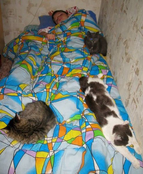 daily picdump 92 pics 18.html - 92 HD Photos | Premium Gallery 2015