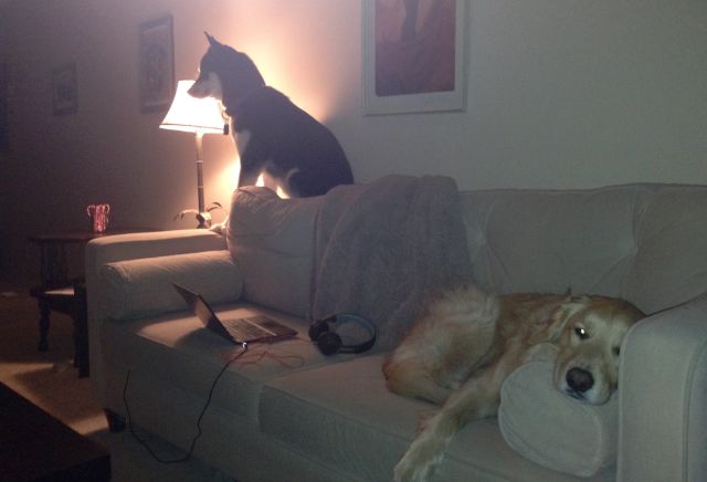 daily picdump 92 pics 18.html - 92 HD Photos | Premium Gallery 2015