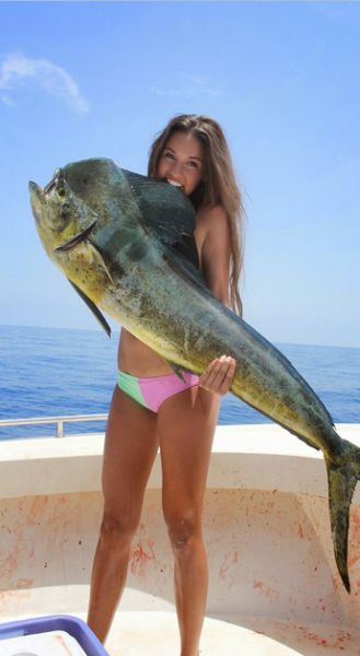 morning picdump 51 pics 9.html - 51 HD Photos | Premium Gallery 2015