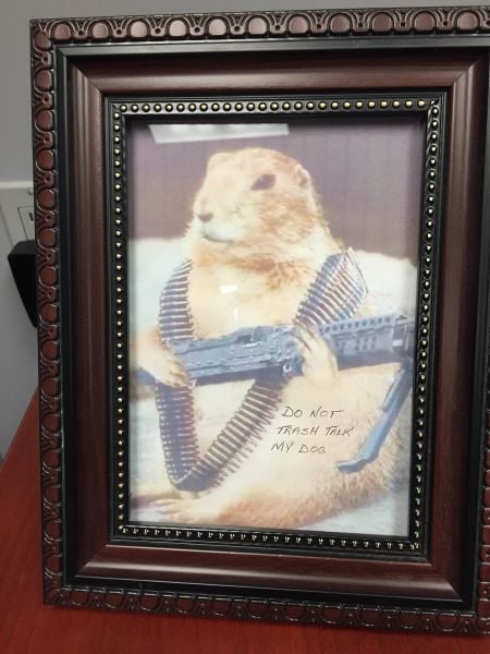 morning picdump 51 pics 9.html - 51 HD Photos | Premium Gallery 2015