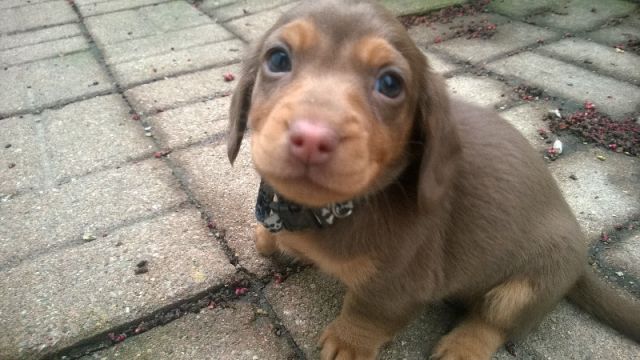 morning picdump 51 pics 9.html - 51 HD Photos | Premium Gallery 2015