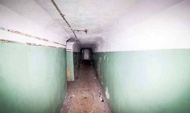 Scary Underground Tunnel Discovered Under a Neglected Home