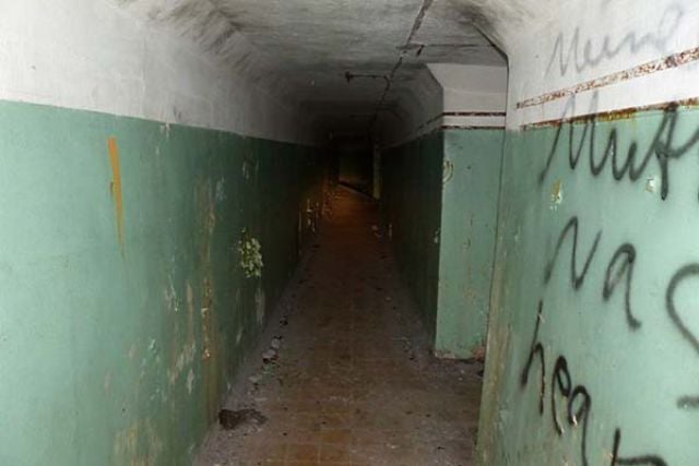 Scary Underground Tunnel Discovered Under a Neglected Home