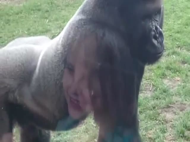 page,11,top 500 videos of the year 2015.html - 1 HD Video | Premium Gallery 2015