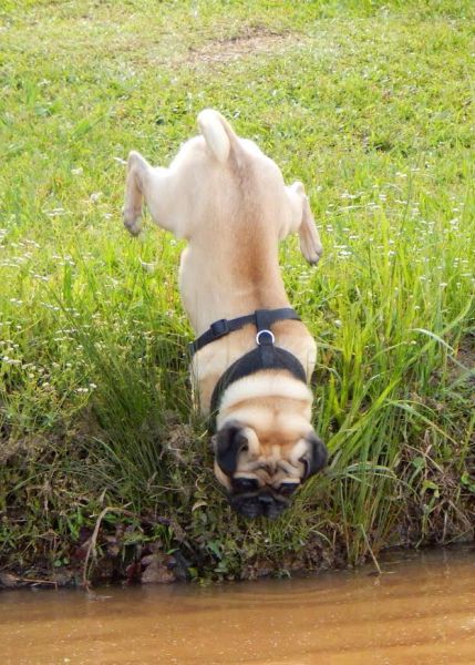 morning picdump 51 pics 11.html - 51 HD Photos | Premium Gallery 2015