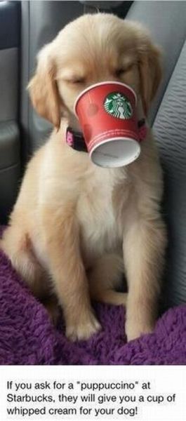 daily picdump 101 pics 20.html - 101 HD Photos | Premium Gallery 2015