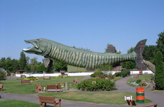 daily picdump 101 pics 20.html - 101 HD Photos | Premium Gallery 2015