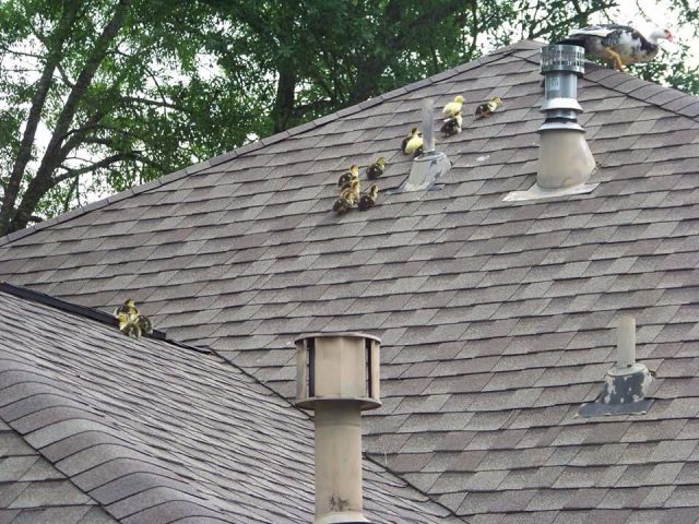 daily picdump 101 pics 20.html - 101 HD Photos | Premium Gallery 2015