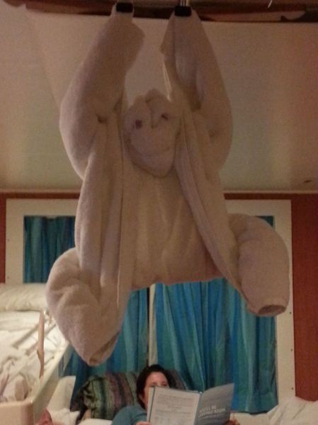 daily picdump 101 pics 20.html - 101 HD Photos | Premium Gallery 2015