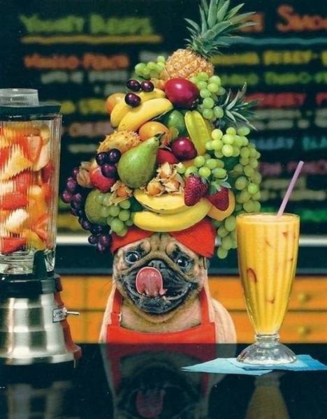 daily picdump 101 pics 20.html - 101 HD Photos | Premium Gallery 2015