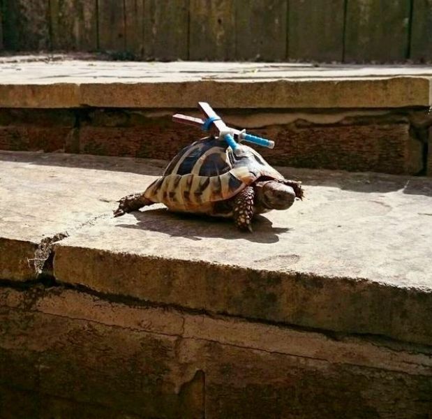 morning picdump 53 pics 24.html - 53 HD Photos | Premium Gallery 2015